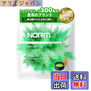 �y���������zNORM �m�[�� �z�G�C �v���e�C�� �l�H�Ö����s�g�p �������e 1kg �������� 300���ȏ�̃g�b�v�A�X���[�g���p WPC WHEY PROTEIN �z�G�C�v���e�C��