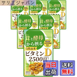 �y���������z�y���R�R�� �r�^�~��D �T�v�������g�z2500IU �L�m�R�ƍy�ꂩ��ۂ�r�^�~��D�i���� �G�����M �y��j ���_�� 1000���z�� �������� 60�� 6�܃Z�b�g