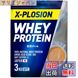 �y���������z�G�N�X�v���[�W���� �v���e�C�� 3kg �z�G�C�v���e�C�� �g���I���� WPC X-PLOSION ���{����