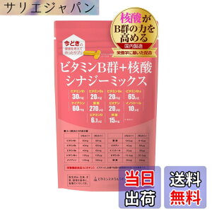 �y���������z�r�^�~��B�Q+�j�_ �V�i�W�[�~�b�N�X�y90�����z1�܁u�i�C�A�V���v�u�j�_�v�����z��/B1,B2,B6,B12,�i�C�A�V��,�C�m�V�g�[��,�p���g�e���_,�r�I�`��/�h�{�̃v�����v���f���[�X�E����