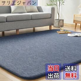 【送料無料】VK Ingeroom カーペット 夏用 極厚30mm 冷感ラグ 厚手 接触冷感 【ひんやりxもっちり】 涼しい 色：ネイビー、サイズ：190x190cm