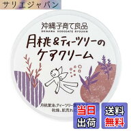 【送料無料】沖縄子育て良品 月桃&ティーツリーのケアクリーム 25gx2個セット サイズ：25gx1個