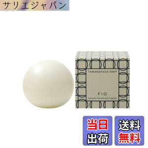 �y���������z�^�}�m�n�_ �\�[�v 005 �t�B�O 125g �F�F�I�t�z���C�g�A�T�C�Y�F125�O���� (x 1)