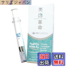 【送料無料】銀座デンタルホワイト ジェル状 美歯革命 メタリンホワイトEX ホワイトニング 薬用 歯磨き粉 白い 歯 口臭予防 医薬部外品 アップルミント