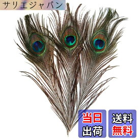 【送料無料】【ノーブランド品】羽根 目玉羽 装飾用の羽根 孔雀の羽 23-33cm 10本