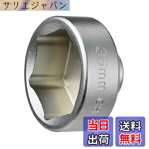 �y���������z(STRAIGHT/�X�g���[�g) �h�������I�C���t�B���^�[�J�b�v�����`36mm 12-6003 �F�F�V���o�[