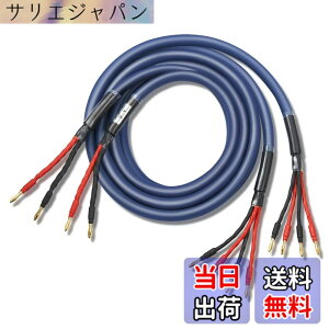 �y���������z�y�o�C���C���[�z WYVERN AUDIO �ɑ� �������x�� 12�c �o�i�i�v���O�t �����i HIFI �o�C���C�������O�ڑ� �o�C���C���[ �X�s�[�J�[�P�[�u�� 2�{1�g LR�Z�b�g �i�u���[�j �yWVA-04BW12�z 