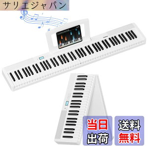 �y���������zTERENCE �d�q�s�A�m �܂��� 88���^�b�`���X�|���X���� 5W�f���A���X�s�[�J�[ MIDI�Ή� �F�F�z���C�g