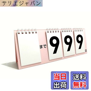 �y���������z�J�E���g�_�E���J�����_�[ 999�� ��� �������ݎ� �F�I���\ W240xH90mm 1�� �F�F�������O�@�T�N���A�T�C�Y�F��240mm x ����90mm