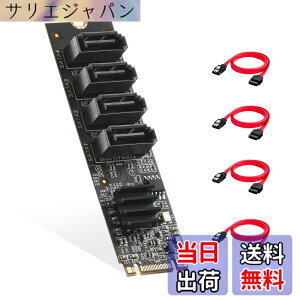 �y���������zBinardat sata �J�[�h �T�C�Y�FM.2 to 4 Ports