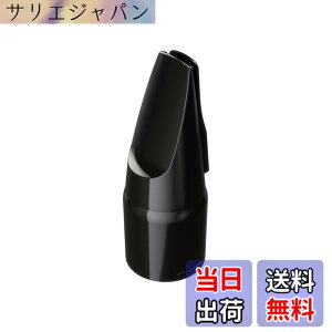 �y���������zRoland ���[�����h Aerophone��p�}�E�X�s�[�X �G�A���t�H�� OP-AE05MPH