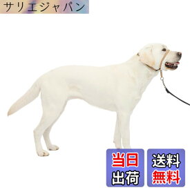 【送料無料】PetSafe（ペットセーフ） ジェントルリーダー 引っ張り防止 ヘッドカラー 犬用 散歩トレーニング 色：フォーン、サイズ：L