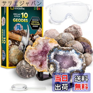 �y���������zNATIONAL GEOGRAPHIC Break Open Geodes�T�C�G���X�L�b�g �| �S�[�O���A�ڍׂȊw�K�K�C�h�A�f�B�X�v���C�X�^���h�t�� - ������N��̍z���w��n���w���D�ƂɍœK��STEM�T�C�G���X�M�t�g