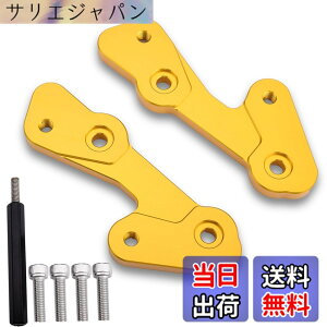 �y���������zLEDISHUN �o�b�N�X�e�b�v �A�W���X�^�[ 30mm �A�b�v 25mm �o�b�N �J���T�L ZX-25R(2020-2023) ZX-4R ZX-4RR (2023+)�ɓK�p �F�F�S�[���h