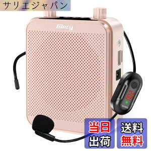 �y���������zGiecy �g���� ���C�����X�g���� �����g���� �|�[�^�u�� ���^���K�z��30W 2800mAh USB microSD �Ή� �g����n���Y�t���[ �L���ƃ��C�����XUHF�}�C�N�t�� �L�͂ɋ��t�̋���A�C�x���g�A��