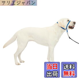 【送料無料】PetSafe（ペットセーフ） ジェントルリーダー 引っ張り防止 ヘッドカラー 犬用 散歩トレーニング 色：ロイヤルブルー、サイズ：Lサイズ (x 1)