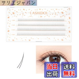 【送料無料】LASHIDOL つけまつげ 下 ナチュラル ポイントフィット 自宅セルフマツエクエクステ 下まつげ 大容量 色：ブラック、サイズ：あやめ マツエク