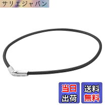 楽天市場】rakuwaネックx100 カーボン シルバーの通販