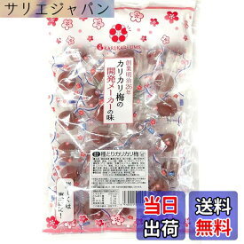 【送料無料】赤城フーズ 種とりカリカリ梅 210g サイズ：210gx1袋