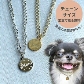 犬 迷子札 ネックレス チェーン ネームプレート コインネックレス 首輪 首掛け 名入れ 刻印 印字 犬用 猫 猫用 小型犬 中型犬 チャーム ネームタグ ペット アクセサリー ドッグタグ 名札 鑑札 名前入り 金属 ゴールド シルバー 名前 誕生日 記念 ギフト プレゼント おしゃれ