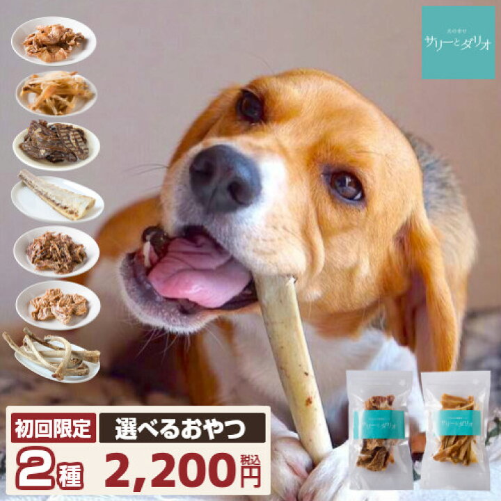 楽天市場 5 クーポン 犬 おやつ 無添加 国産 お試し 2種 初回限定 犬用 アレルギー オヤツ 骨 ジャーキー ガム 豚耳 ささみ 軟骨 口臭 歯石除去 グレインフリー 小型犬 中型犬 大型犬 老犬 サリダリ 犬の幸せ サリーとダリオ