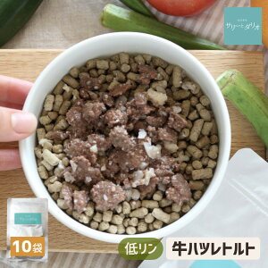  tPA ჊ ~` gg nc (10) Y Y ta tɗD Ö@H ᎉb _炩 EFbgt[h 育 gbsO X[v  S Hׂ HׂȂV