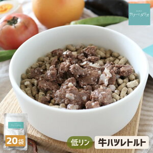  tPA ჊ ~` gg nc (20) Y Y ta tɗD Ö@H ᎉb _炩 EFbgt[h 育 gbsO X[v  S Hׂ HׂȂV