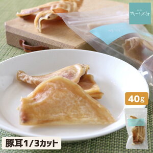 Y Y   ؎1/3Jbg 40g  Ԃ݂ 傫 XCX Jbg  J[ ᎉb 얞 щ ΃PA Ώ  L d ^ ^ ^ hbOt[