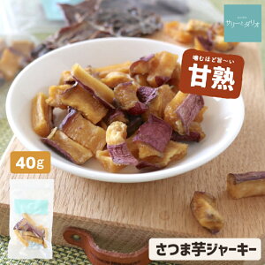 【5%クーポンお買い物マラソン限定】犬 おやつ さつまいも 国産 無添加 ジャーキー 40g 薩摩芋 さつま芋 干し芋 犬用オヤツ 腎臓ケア ダイエット アレルギー 歯石ケア 小型犬 中型犬 大型犬