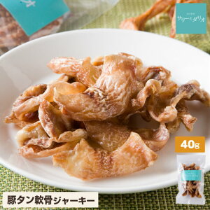   Y Y ؃^ 40g W[L[ ֐ щ AM[PA  ΃PA RhC` q ^ ^ ^ V  hbOt[h T_