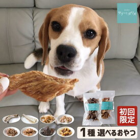 犬 おやつ 無添加 国産 お試し 初回限定【選べる1種】 ジャーキー 骨 アレルギーケア 歯磨き 口臭 歯石除去 歯石ケア 長持ち ボーンささみ 豚耳 軟骨 レバー さつまいも 馬肉 小型犬 中型犬 大型犬 シニア サリダリ