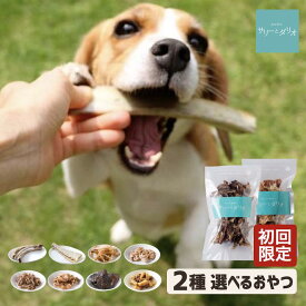 【20%OFF お買い物マラソン】犬 おやつ 無添加 国産 お試し 選べる2種 おもちゃ 歯石除去 口臭ケア 歯磨きおやつ グレインフリー ジャーキー 骨 ガム ささみ 豚耳 小型犬 中型犬 大型犬 サリダリ タイムセール