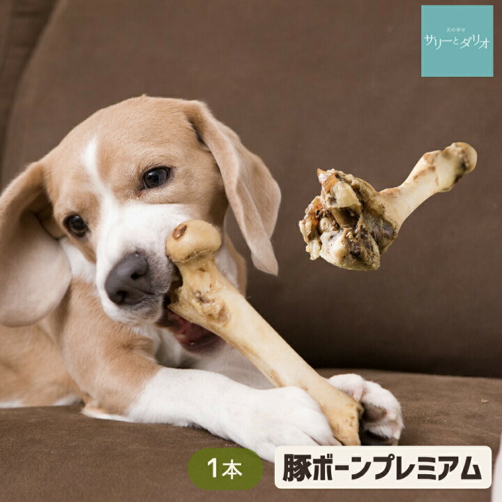 楽天市場 ドッグフード 犬 おやつ 無添加 国産 プレミアム 豚ボーン 1本 硬い 骨 アレルギー 歯石除去 歯磨き ハミガキ 口臭 大きい骨 ガム 豚骨 豚の骨 小型犬 中型犬 大型犬 超大型犬 サリダリ 送料無料 犬の幸せ サリーとダリオ