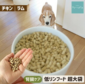 楽天市場 ドッグフード 用途 ペットフード 離乳食 人気ランキング1位 売れ筋商品