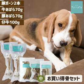 【5%クーポンお買い物マラソン】犬 おやつ 無添加 国産 骨4種5袋セット アレルギー 歯石除去 歯石とり 口臭 大きい骨 ガム 豚骨 豚の骨 小型犬 中型犬 大型犬 超大型犬 サリダリ