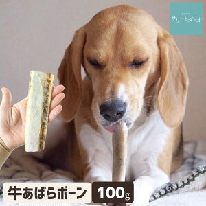 y5%OFFN[|}\z  Y Y ΂{[ 100g Ώ Ύ  L J[ d  ΂獜 XyAu ^ ^ ^