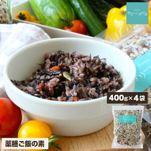 ドッグフード 無添加 国産 アレルギー 薬膳ごはんの素 400g×4袋 皮膚 腎臓 アトピー 涙やけ イボ ハト麦 キヌア クコ オメガ3 手作りご飯 トッピング 小型犬 中型犬 大型犬 老犬 介護食 保存食
