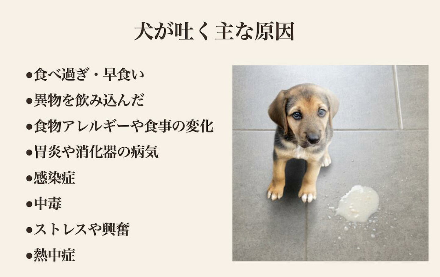 犬 黄色い 嘔吐