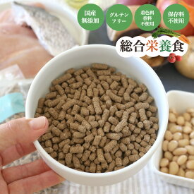 ドッグフード お試し 無添加 国産 総合栄養食 ソノママオリジナル【170g】 グルテンフリー ノングルテン 皮膚ケア アレルギーケア 子犬 小型犬 中型犬 大型犬 シニア 小粒 ドライフード サリダリ