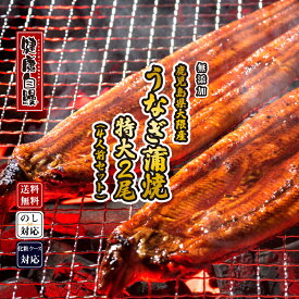 ギフト 人気【ふんわり国産有頭うなぎ蒲焼き】特大サイズ2尾（約400g）【送料無料】 無添加 国内産 鹿児島県大隅産 健康自鰻 4人前セット ウナギ 鰻蒲焼 土用の丑の日 にどうぞ！ お取り寄せグルメ ギフト 燻製の日 お歳暮 母の日 父の日 うなぎギフト 最強配送