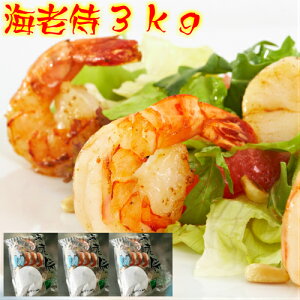 BBQ lĆyCV 3kgzw^Ȃ 傦 Ղ3kg Gr` o[xL[ K[bNVv CVtC ՂՂ̐HIBBQ Lv ܂ Ɩp Aq[W  