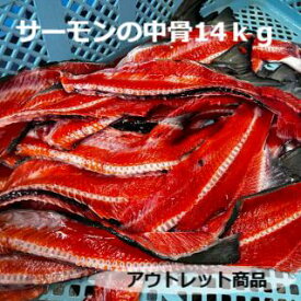 アウトレット商品【サーモンの中骨14kg】 送料無料 尾付き アウトレット 業務用 訳あり サーモン 鮭中骨 紅鮭 トラウト 銀鮭 おつまみ 在庫限り 数量限定 希少部位 ペットフード 加熱用