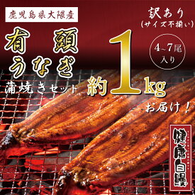 【サイズ訳あり国産有頭うなぎ蒲焼き約1kg】4尾から7尾入り【送料無料】 国内産 鹿児島県大隅産 健康自鰻 ウナギ 鰻蒲焼 お取り寄せグルメ ふんわりと焼き上げた【今なら蒲焼のタレをプレゼント！】土用丑の日 美味しい