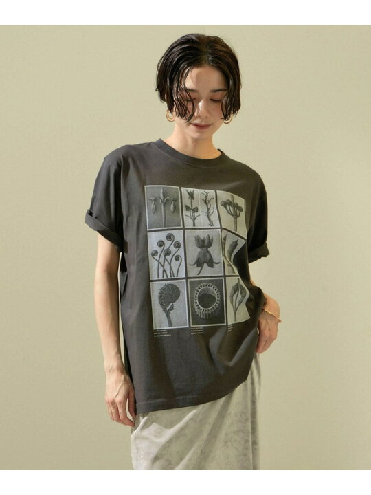 楽天市場】【WEB限定】【KARL BLOSSFELDT(カールブロスフェルト 