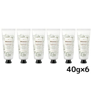 y6{ZbgzCXEB[g nhN[ 40g K[feB[̍ Mtg ێ Ƃ |Xg