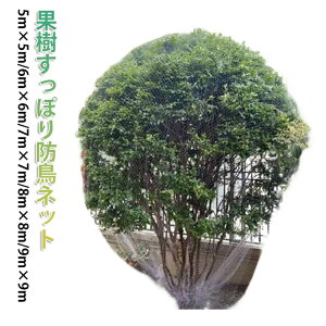 ���| 9m 6m 8m ���悯�l�b�g �ʎ� �����ۂ� �h���l�b�g 7m 5m �ی�l�b�g �h���l�b�g �h���� �ʎ��p ���|�p�l�b�g �������� �������� �W���{�`�J�o �т� �ʎ� �u���[�x���[ �����S �ʎ��ی� ��