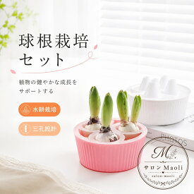 球根栽培セット 三孔設計 水耕栽培用 花球根用ポット 観葉植物鉢対応 視覚的水位計付き PP製 室内栽培 水位管理 通気性向上 ヒヤシンス・スイセン・チューリップなどの球根植物に対応 初心者の窓辺ガーデニングや省スペース育成に