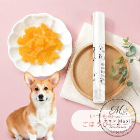 ネイルキャップ 犬用 20粒入り 接着剤付き プラスチック製 爪保護カバー 滑り止め 引っかき防止 家具 床 ソファー カーテン保護 小型犬 中型犬 大型犬 ペット用品