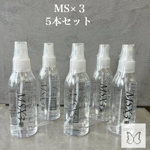 AEgoX g[gg aʐ GGXoCX[ MS×3 J[ Xg[g p[} u[` _[WPA et  F L   } Q