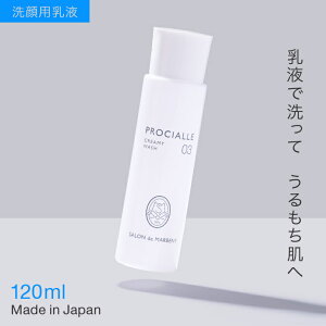 y12/2܂P3{zpt (AĂȂ痿)  q΍ 邨 t ێ ₳  Ԃ JT΍ bϕi XLPA sThD}xj[tv